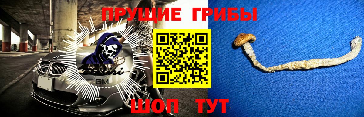 Псилоцибиновые грибы мицелий Карачаевск