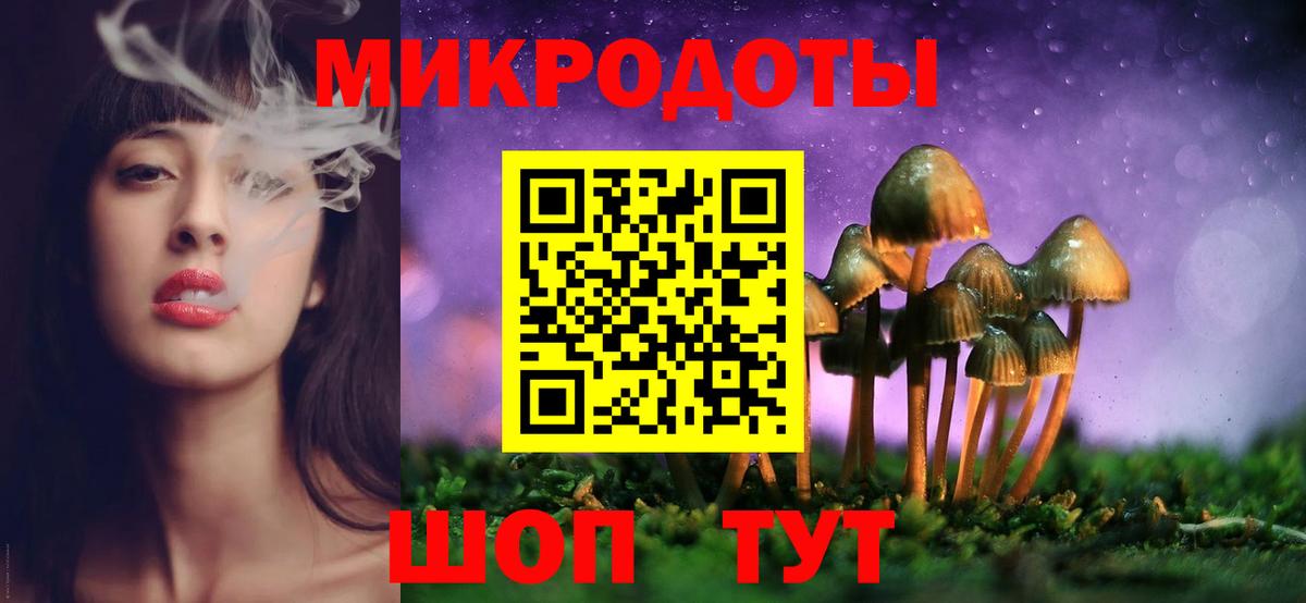 Карачаевск  Галлюциногенные грибы мицелий  Вход с VPN 